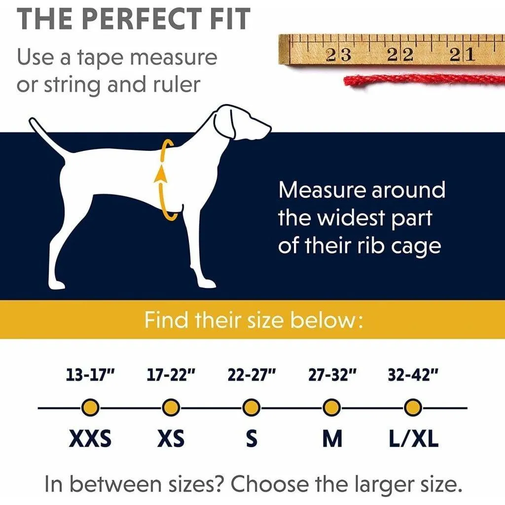 Ruffwear Front Range Dog Harness - Blue Moon (XXS)